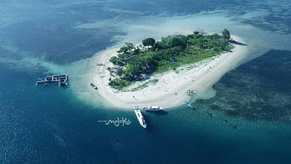 Pulau Tikus Menjadi Habitat Ikan Nemo